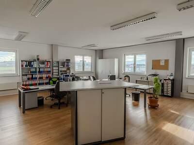 Gewerbeobjekt mieten in 3382 Loosdorf (Bild 1)