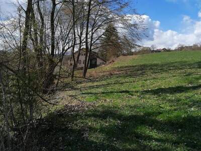 Grundstück kaufen in 9535 Schiefling