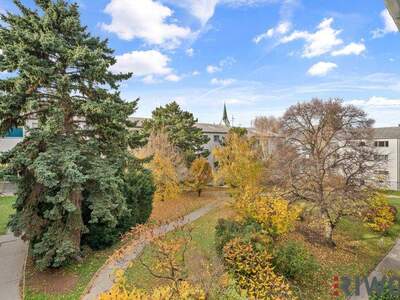Terrassenwohnung kaufen in 1230 Wien (Bild 1)