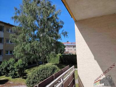 Terrassenwohnung kaufen in 2651 Reichenau (Bild 3)