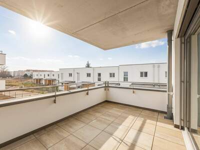 Anlageobjekt kaufen in 2700 Wiener Neustadt