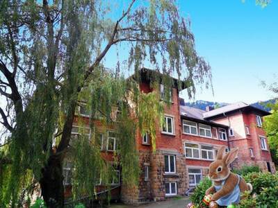 Wohnung mieten in 2733 Grünbach