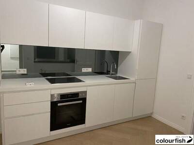 Gewerbeobjekt mieten in 1010 Wien (Bild 5)