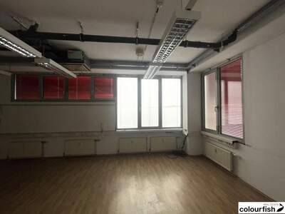 Gewerbeobjekt mieten in 1230 Wien (Bild 4)