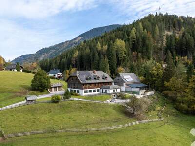 Gewerbeobjekt mieten in 8786 Oppenberg (Bild 2)