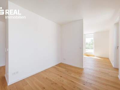 Terrassenwohnung kaufen in 2020 Hollabrunn (Bild 5)
