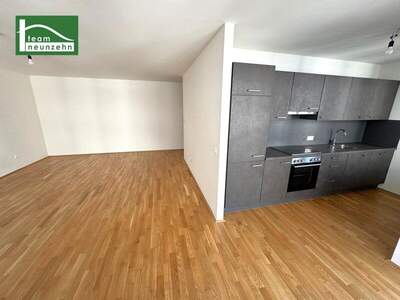 Terrassenwohnung mieten in 1100 Wien (Bild 2)