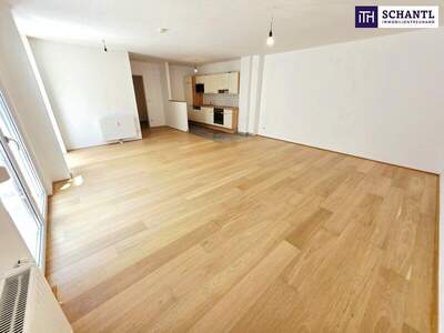 Terrassenwohnung kaufen in 1160 Wien (Bild 3)