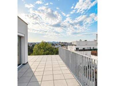 Terrassenwohnung mieten in 1220 Wien (Bild 1)