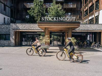 Anlageobjekt kaufen in 5771 Leogang (Bild 3)