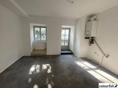 Gewerbeobjekt mieten in 1060 Wien (Bild 5)