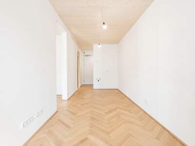 Anlageobjekt kaufen in 1020 Wien (Bild 3)