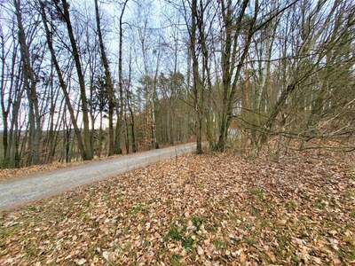 Grundstück kaufen in 8380 Grieselstein (Bild 3)