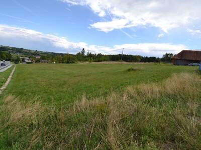 Gewerbeobjekt kaufen in 8511 Teipl (Bild 2)