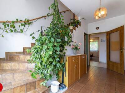 Mehrfamilienhaus kaufen in 2351 Wr. Neudorf (Bild 5)