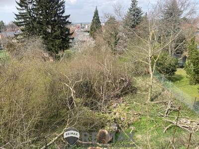 Grundstück kaufen in 3433 Königstetten (Bild 2)