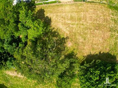 Grundstück kaufen in 8054 Seiersberg (Bild 3)