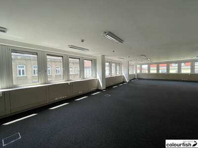 Gewerbeobjekt mieten in 1050 Wien (Bild 5)
