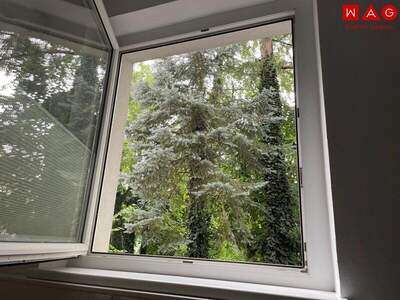 Büro / Praxis kaufen in 5020 Salzburg (Bild 3)