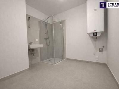 Terrassenwohnung kaufen in 2514 Traiskirchen (Bild 4)