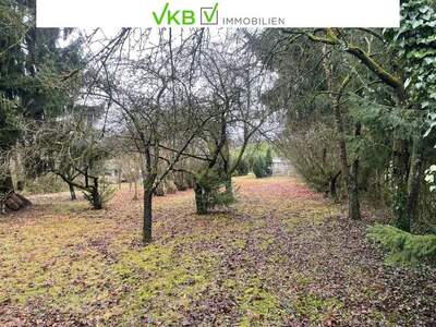 Grundstück kaufen in 4211 Alberndorf