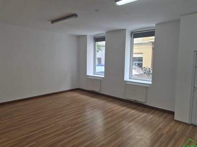 Gewerbeobjekt mieten in 1070 Wien (Bild 1)