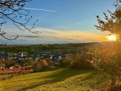 Haus kaufen in 2120 Wolkersdorf