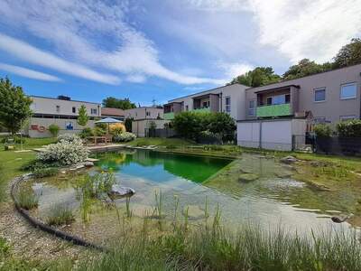 Wohnung mieten in 3042 Würmla