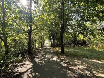 Grundstück kaufen in 2721 Bad Fischau