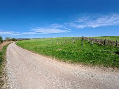 Grundstück kaufen in 7011 Siegendorf