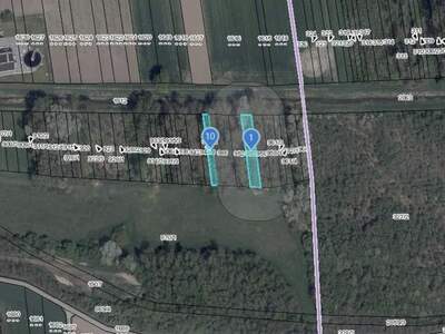 Gewerbeobjekt kaufen in 2193 Wilfersdorf