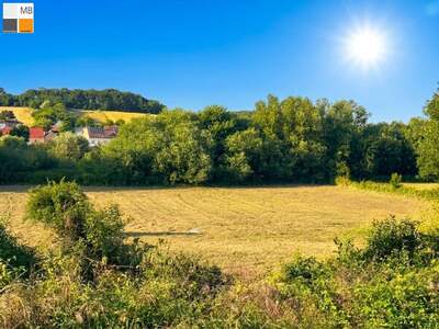 Grundstück kaufen in 2473 Potzneusiedl