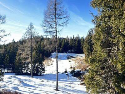 Gewerbeobjekt kaufen in 8762 Gföllgraben
