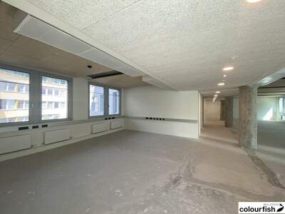 Gewerbeobjekt mieten in 1020 Wien (Bild 4)