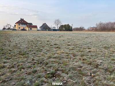 Grundstück kaufen in 4975 Suben