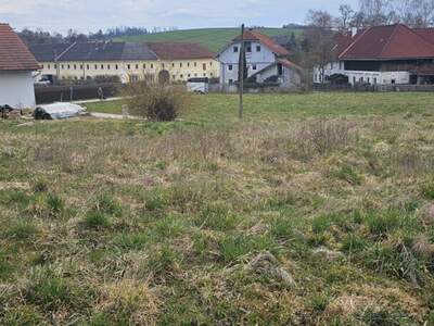 Grundstück kaufen in 4611 Buchkirchen (Bild 5)