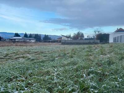 Grundstück kaufen in 3380 Pöchlarn