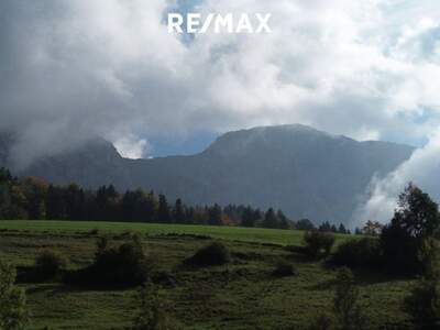 Grundstück kaufen in 4853 Steinbach (Bild 3)