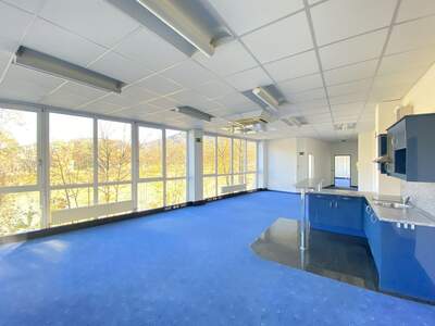 Gewerbeobjekt mieten in 5020 Salzburg (Bild 1)