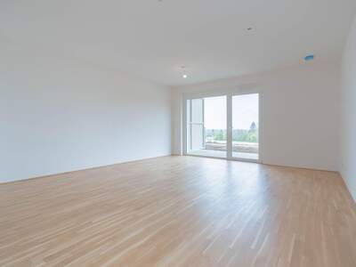 Wohnung mieten in 4643 Pettenbach (Bild 2)