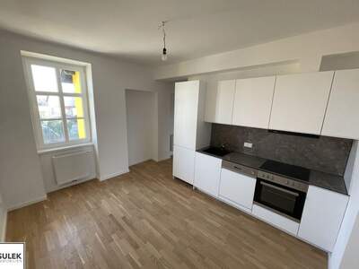 Altbauwohnung mieten in 2540 Bad Vöslau (Bild 1)