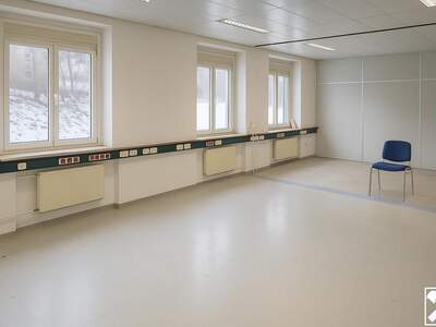 Gewerbeobjekt mieten in 3270 Scheibbs (Bild 5)