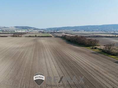 Grundstück kaufen in 2100 Bisamberg (Bild 5)