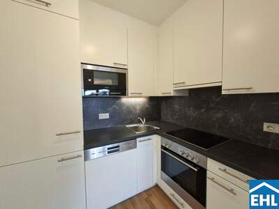 Terrassenwohnung mieten in 1060 Wien (Bild 5)