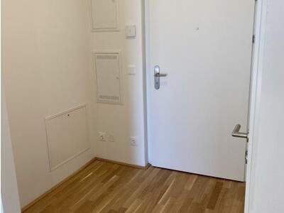 Terrassenwohnung mieten in 1220 Wien (Bild 1)