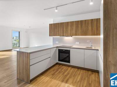 Terrassenwohnung mieten in 1200 Wien (Bild 1)
