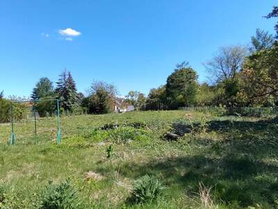 Grundstück kaufen in 2230 Gänserndorf (Bild 5)