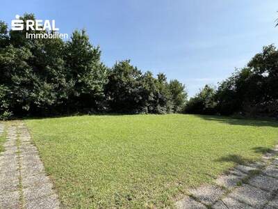 Grundstück kaufen in 7100 Neusiedl (Bild 5)