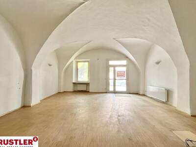 Gewerbeobjekt mieten in 2340 Mödling (Bild 1)