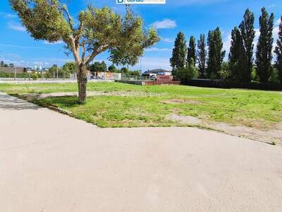 Gewerbeobjekt kaufen in 2353 Guntramsdorf (Bild 5)